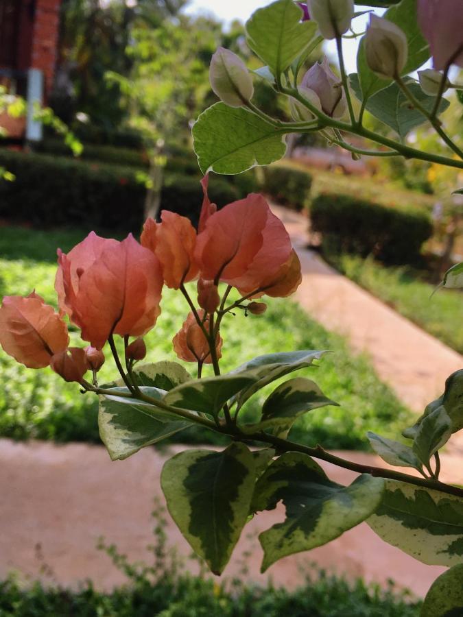קו לנטה Lanta Queen Resort מראה חיצוני תמונה